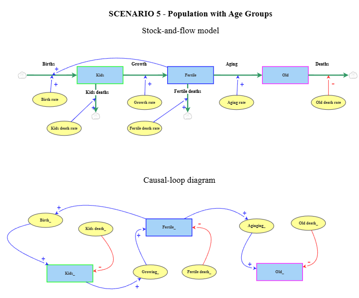 SCENARIO 5 - Population with Age Groups | Insight Maker