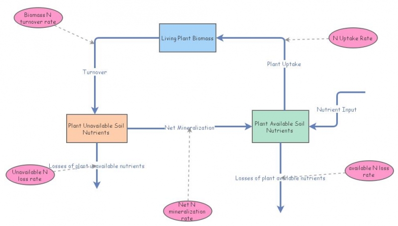 Assignment 2: Nitrogen Cycle Model: Grassland Model | Insight Maker