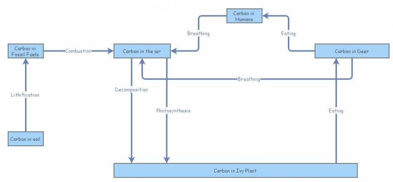 05 Carbon Stock and Flow Diagram | Insight Maker