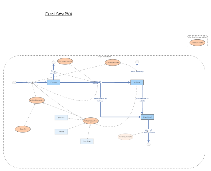 Clone of Clone of Clone of Feral Cats Basic PVA | Insight Maker