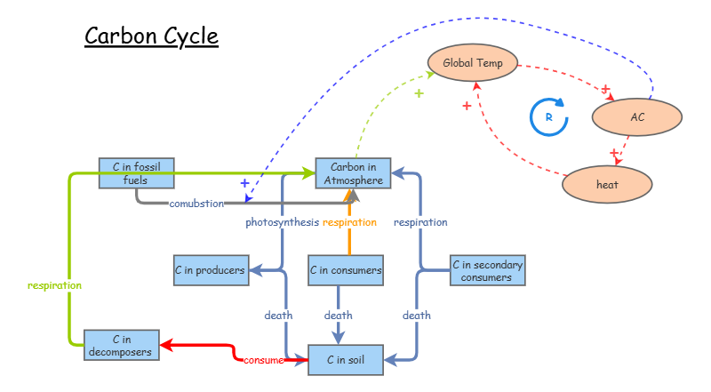 Carbon Cycle | Insight Maker