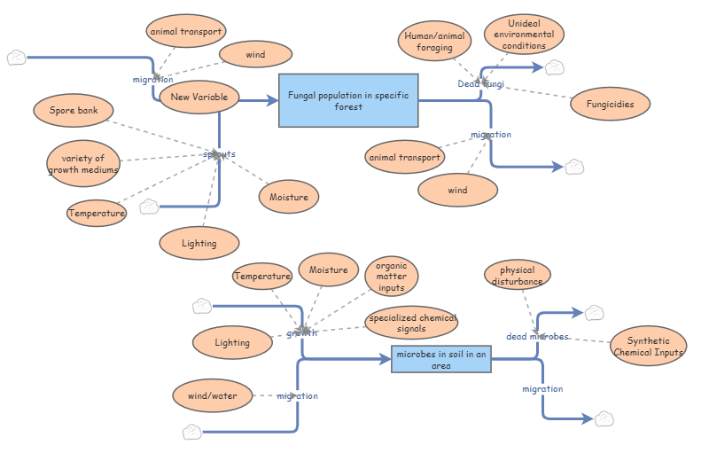 My Insight hw | Insight Maker
