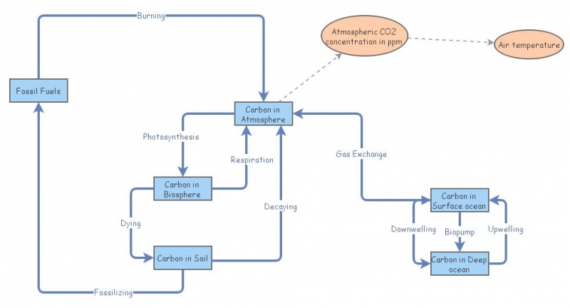 Carbon Cycle | Insight Maker