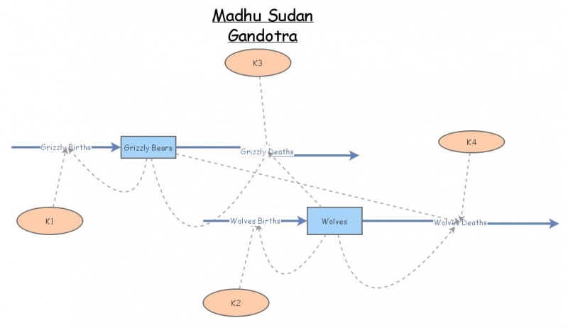 Boreal Owls and Ravens | Insight Maker