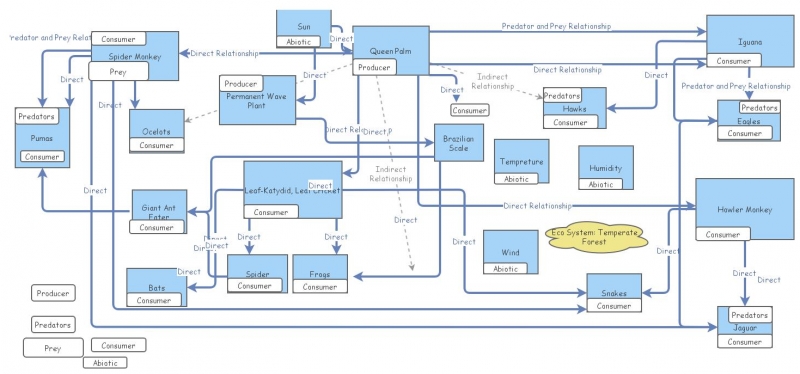 Temperate Forest Food Web | Insight Maker