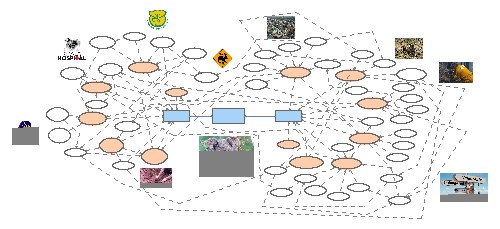 Koala Population SEQ | Insight Maker