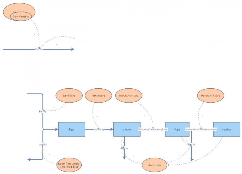 Population Model | Insight Maker