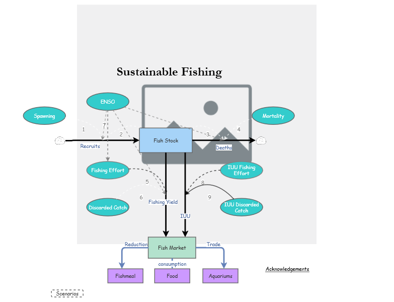 Clone of Clone of Stage 4 - Sustainable Fishing Model | Insight Maker