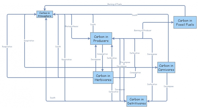 Carbon Cycle | Insight Maker