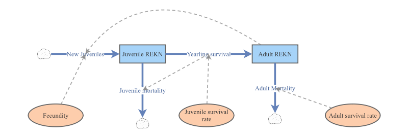 Clone of Red_Knot_Matrix_Model | Insight Maker