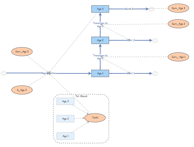Age-Structured Model Lab 3 | Insight Maker