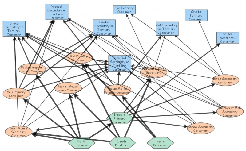 animals | Insight Maker