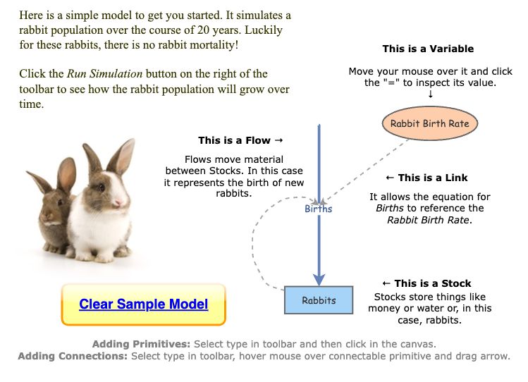 Multiple Alleles Rabbits