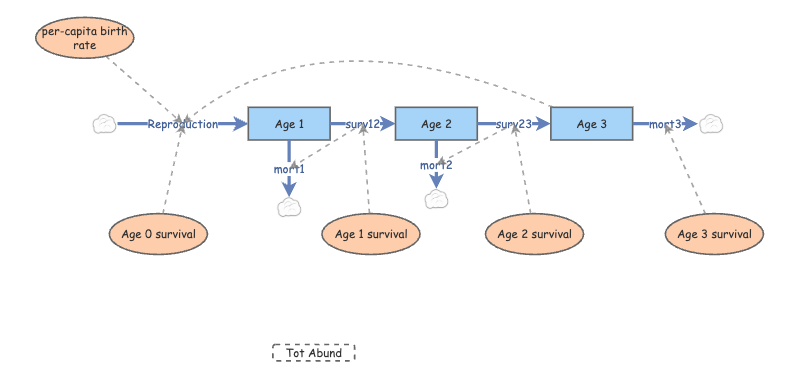 Age structure lab 3 | Insight Maker