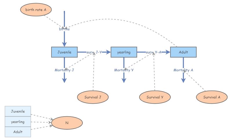 Clone of Age Structure Model | Insight Maker