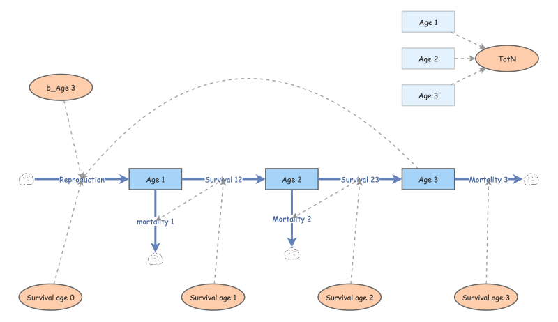 Lab 3 Age Structure Model Insight Maker