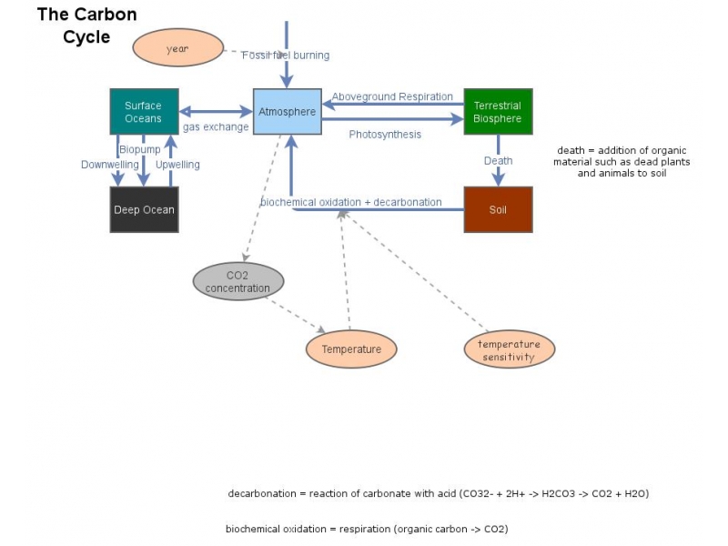 Clone of Global Carbon Cycle - For ENVS 270 Online | Insight Maker