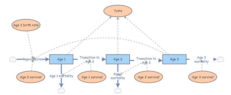 Aging Pattern. Model Age-structure model | Insight Maker