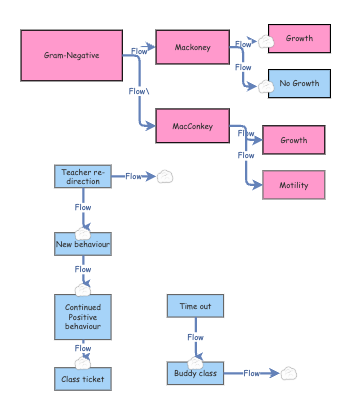 Clone of Behaviour flow chart | Insight Maker