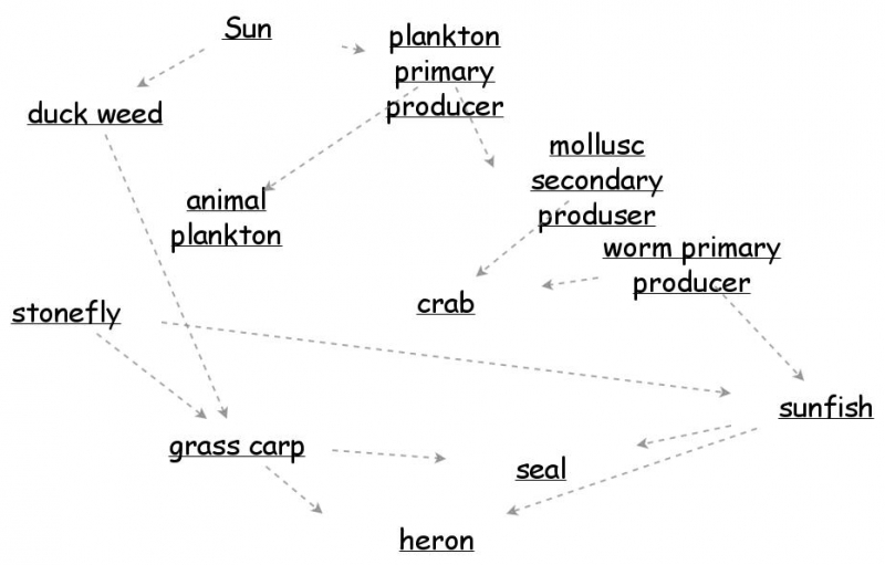 Freshwater Food Web Insight Maker 5062