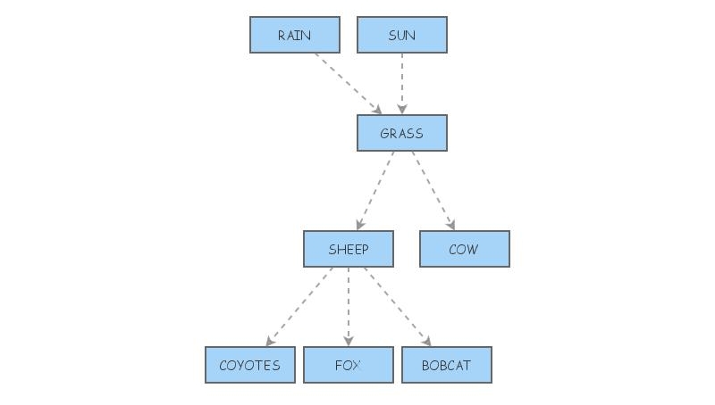 FOOD WEB | Insight Maker