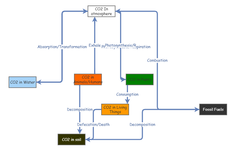 CO2 stock and flow | Insight Maker