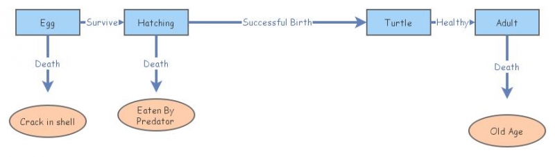 Life Cycle | Insight Maker