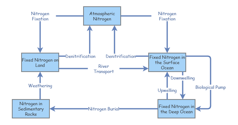 Nitrogen Cycle | Insight Maker