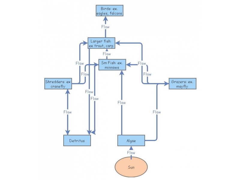 Practice Food  Simulation Insight Maker