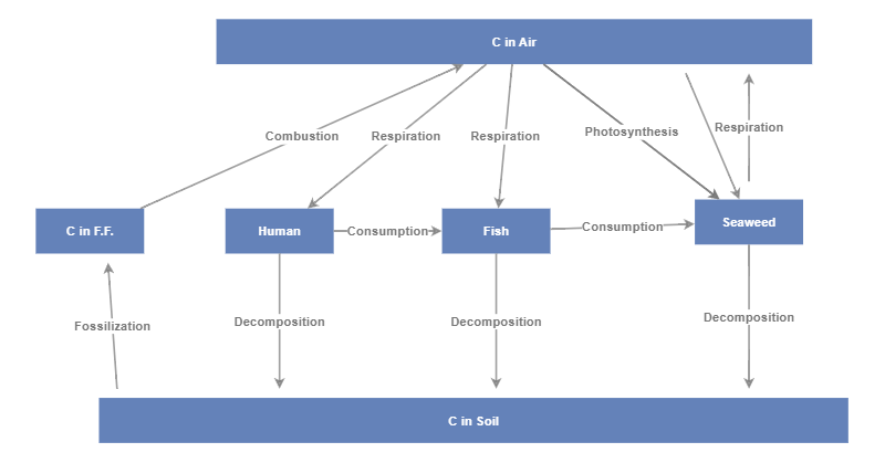 Fish stock flow | Insight Maker