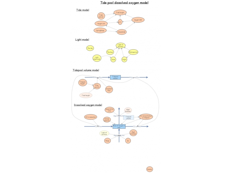 The Tide O2 Tide pool dissolved oxygen model | Insight Maker
