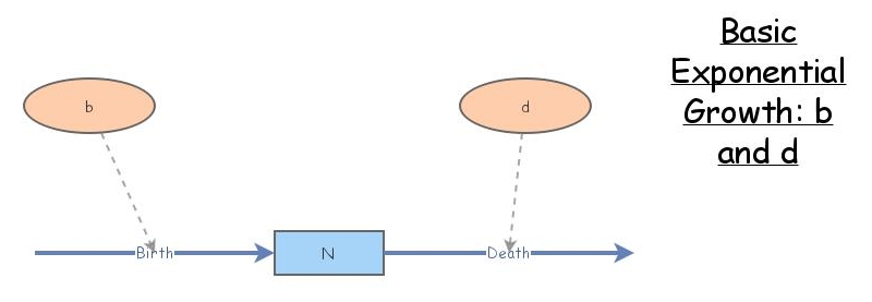 Basic Exponential Growth: b and d | Insight Maker