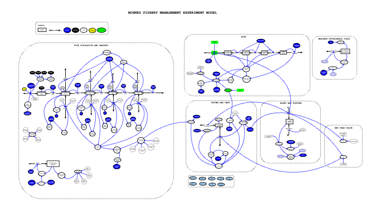 Final Paper | Insight Maker
