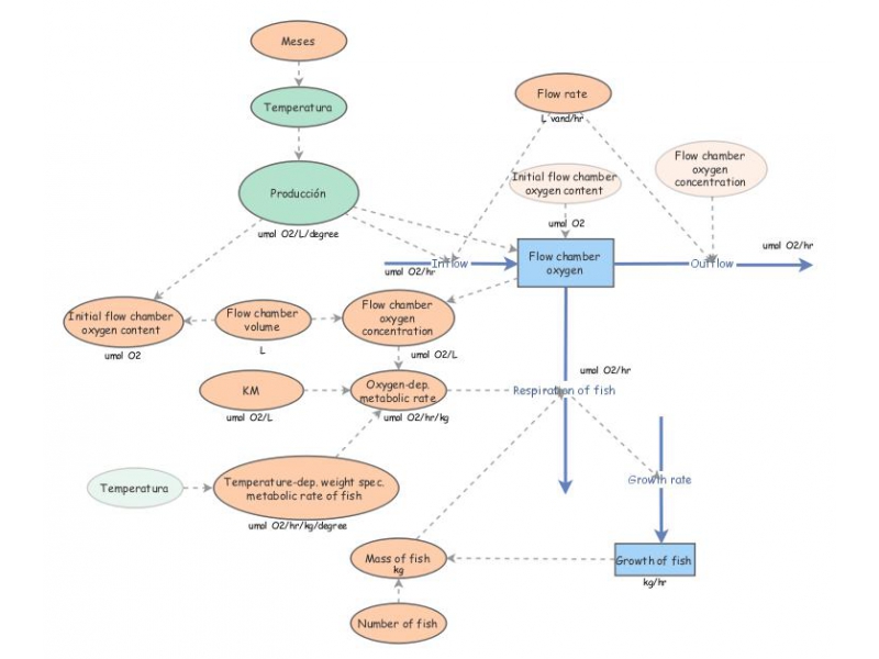 Clone of 2nd Assignment - Growth of fish | Insight Maker