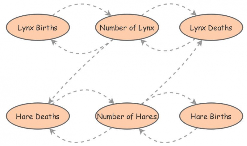 Lynx and Snowshoe Hare Predator-Prey Relationship | Insight Maker