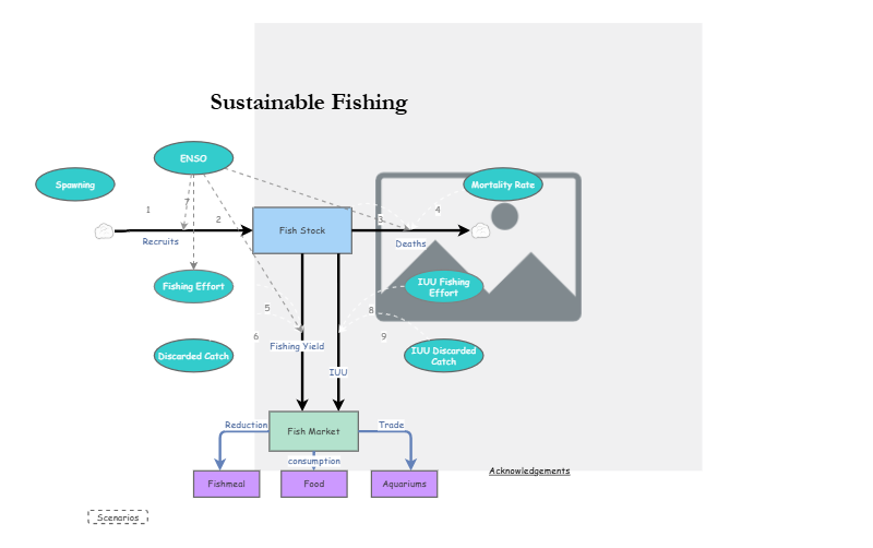 Clone of Clone of Stage 4 - Sustainable Fishing Model | Insight Maker