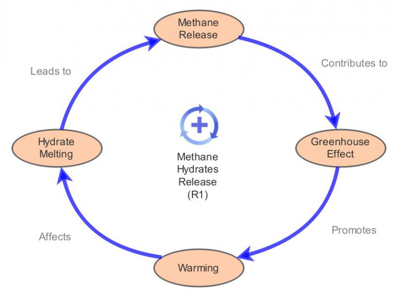 Climate Change Influencer: Methane Release (1-Loop; Reinforcing ...