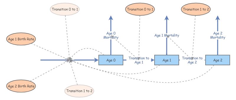 Clone of Walker Age Structure Model | Insight Maker