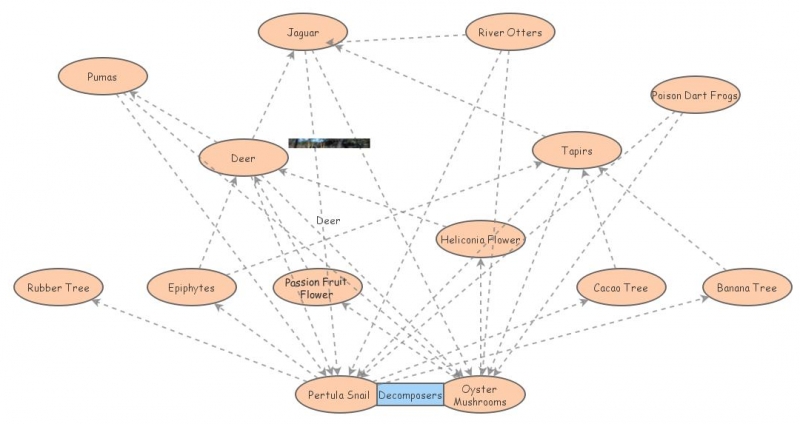 Clone of Arizona Food Web | Insight Maker