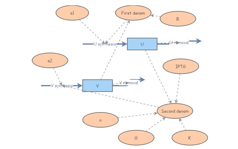 4260 Assignment #2: Bistable Toggle Switch Model | Insight Maker