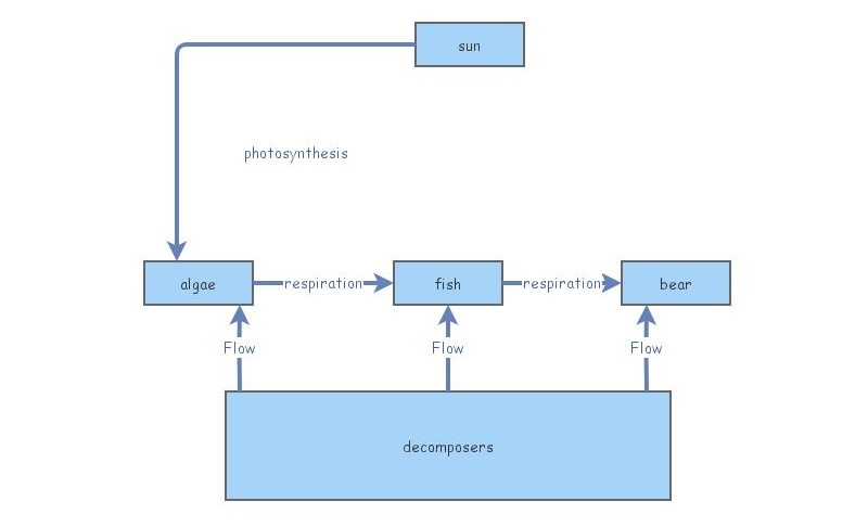 walker practice insight | Insight Maker