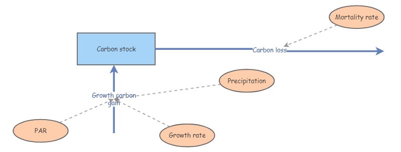 Ecosystem model practice | Insight Maker