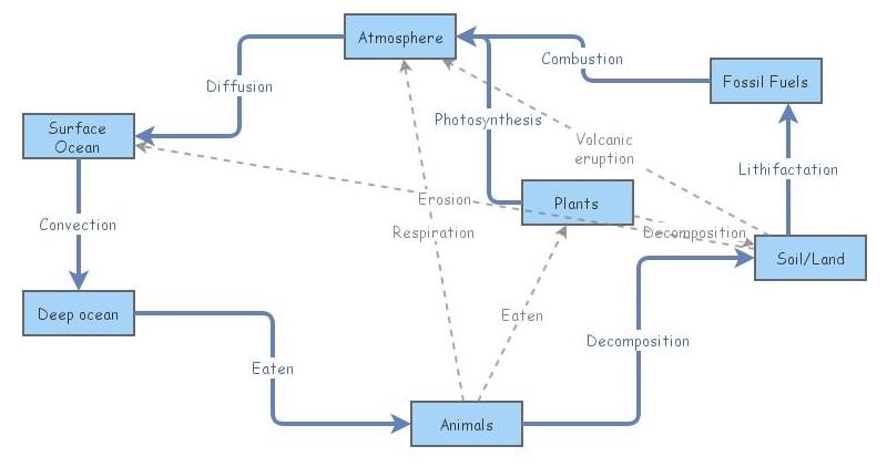 Carbon Cycle | Insight Maker