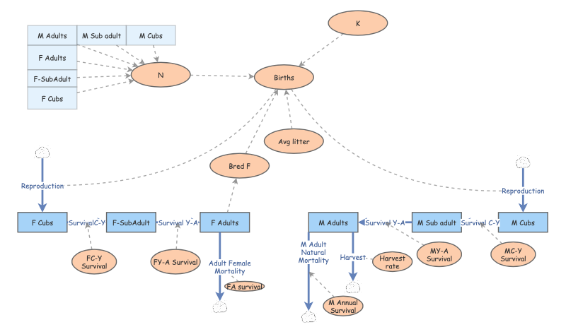 Clone of Clone of Pop dy project | Insight Maker