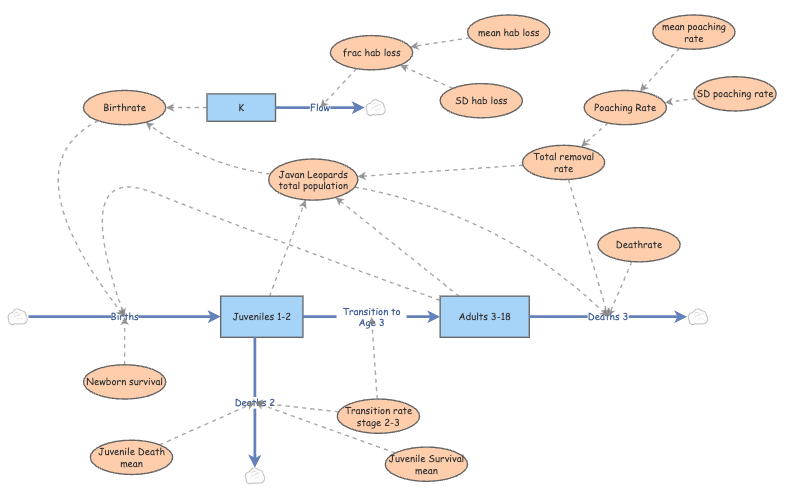Clone of Working Model of Javan Leopards | Insight Maker