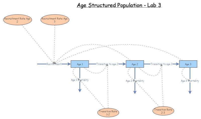 Lab 3- Exercise 3 | Insight Maker