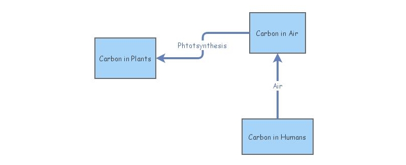 Carbon stock and flow chart | Insight Maker