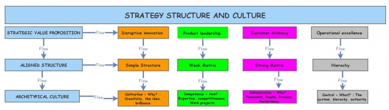 Strategy Structure And Culture | Insight Maker