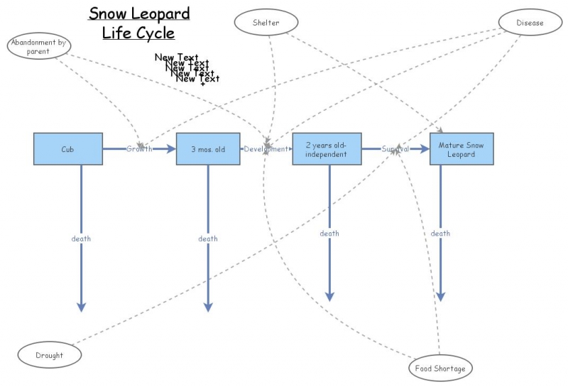 Snow Leopard life cycle | Insight Maker