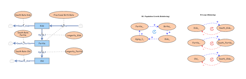 Scenario 5 - Population with Age Groups | Insight Maker